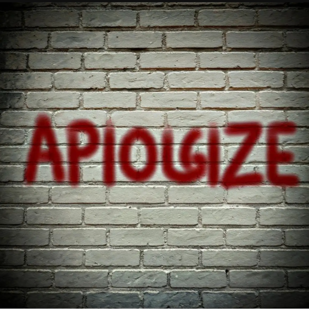 apologize 