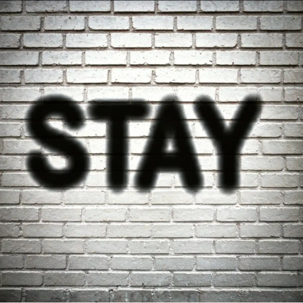 Stay 