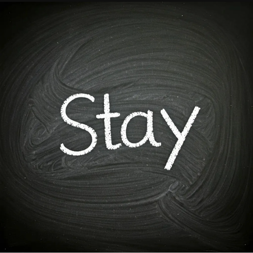 Stay 