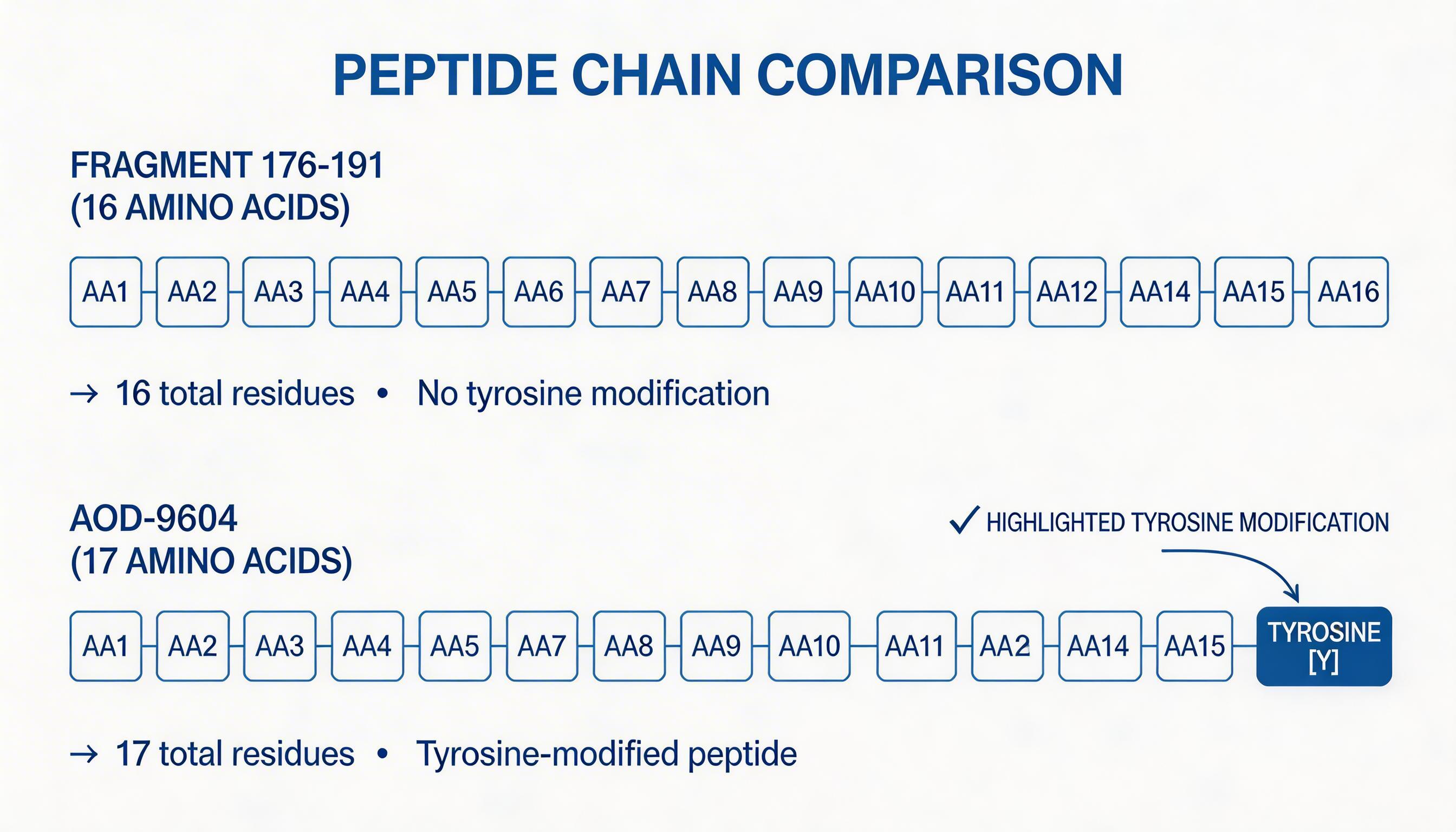 Fragment 176-191 vs AOD-9604 peptide structure comparison