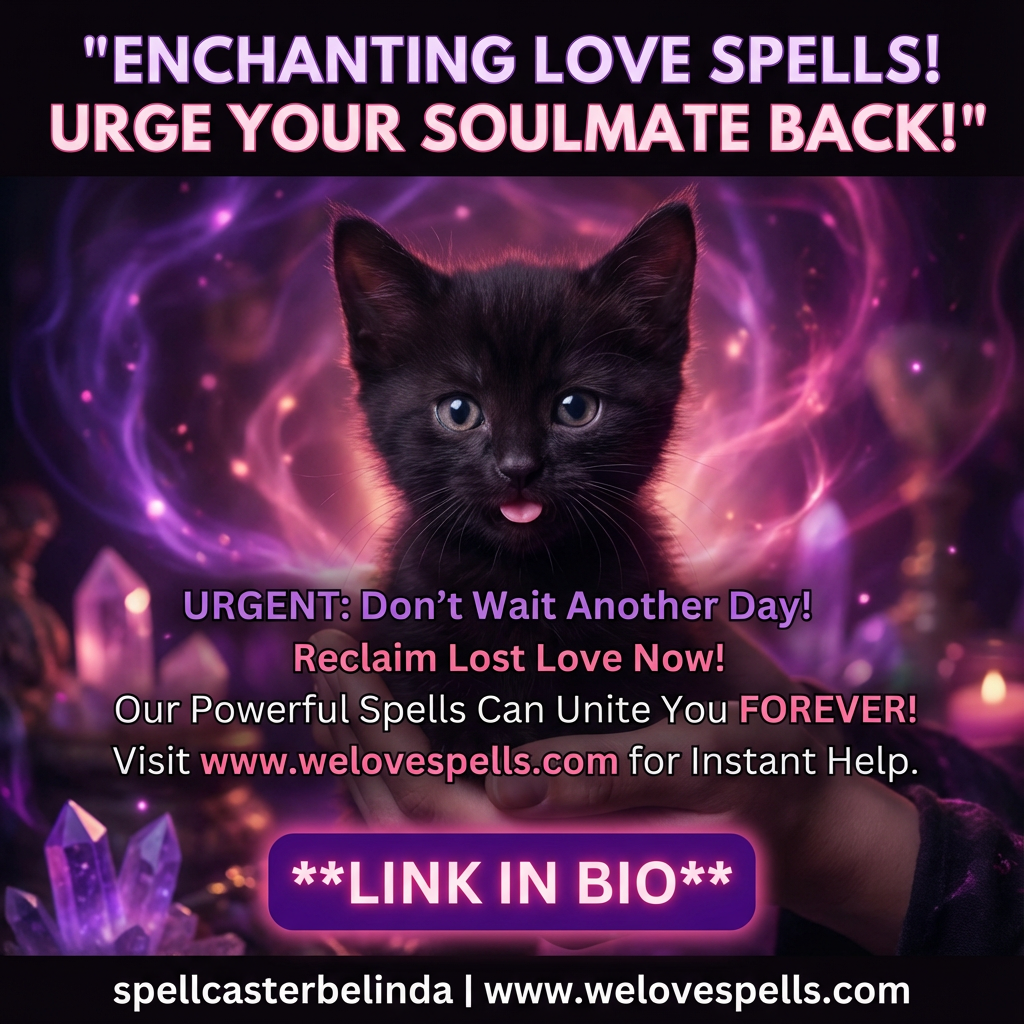 Little Salem black kitten sitting next to Mama Luna