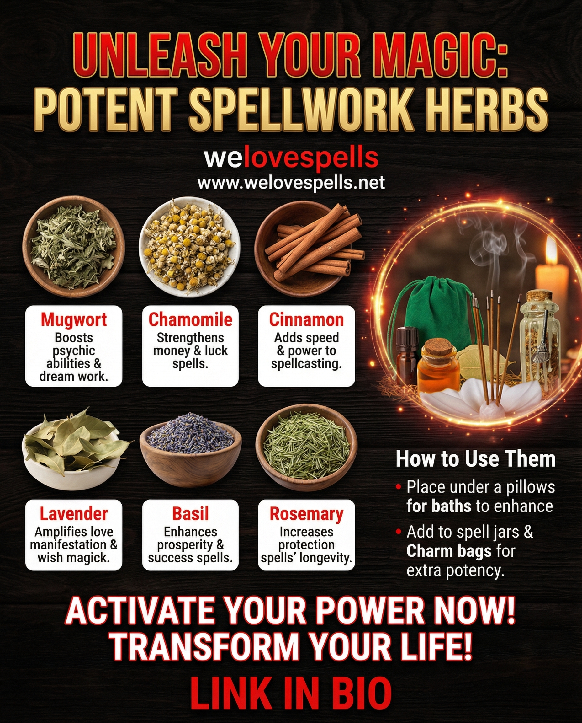 Powerful herbs to strengthen spells and amplify magick