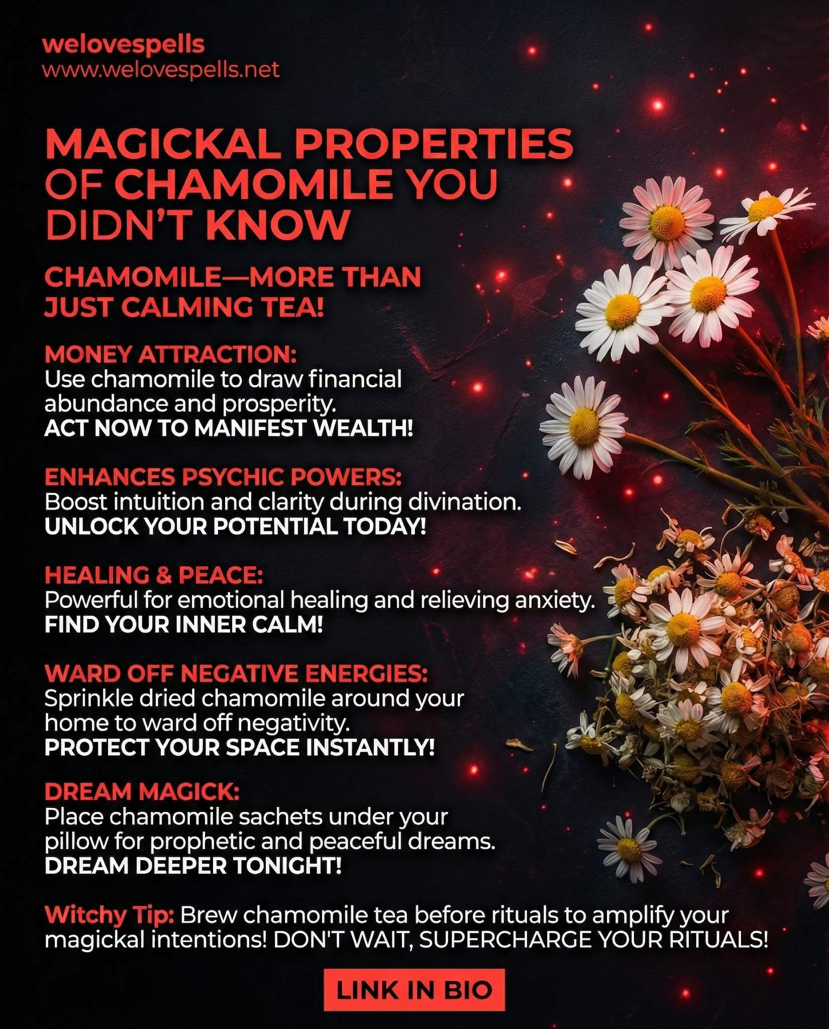 Chamomile flowers with warm magical aura for healing and protection