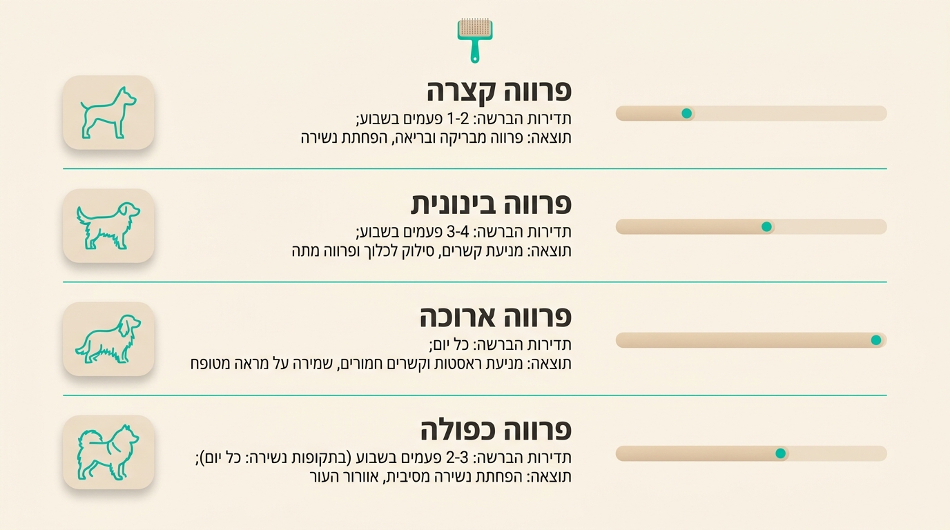 ניקוי עדין של פנים ואוזניים לכלב