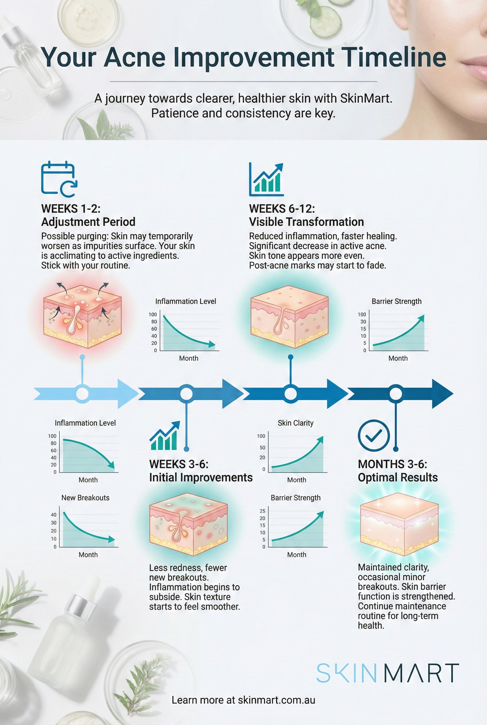 Timeline infographic showing acne improvement stages from weeks 1-12, with skin condition icons and key milestones marked at each phase