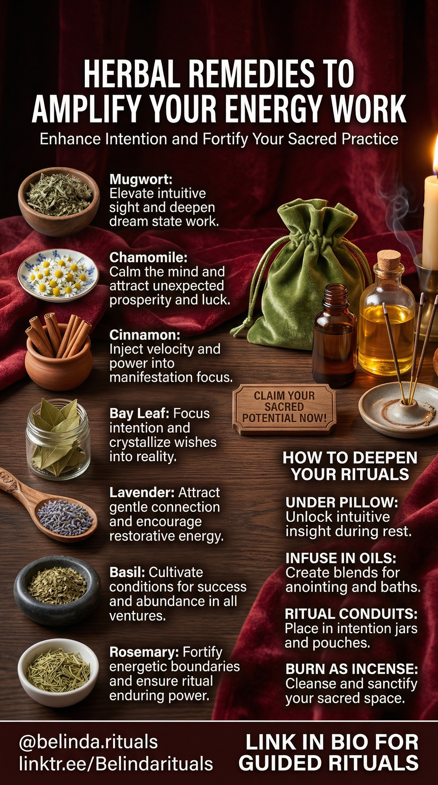 Herbal magic and witchcraft ingredients for stronger spells