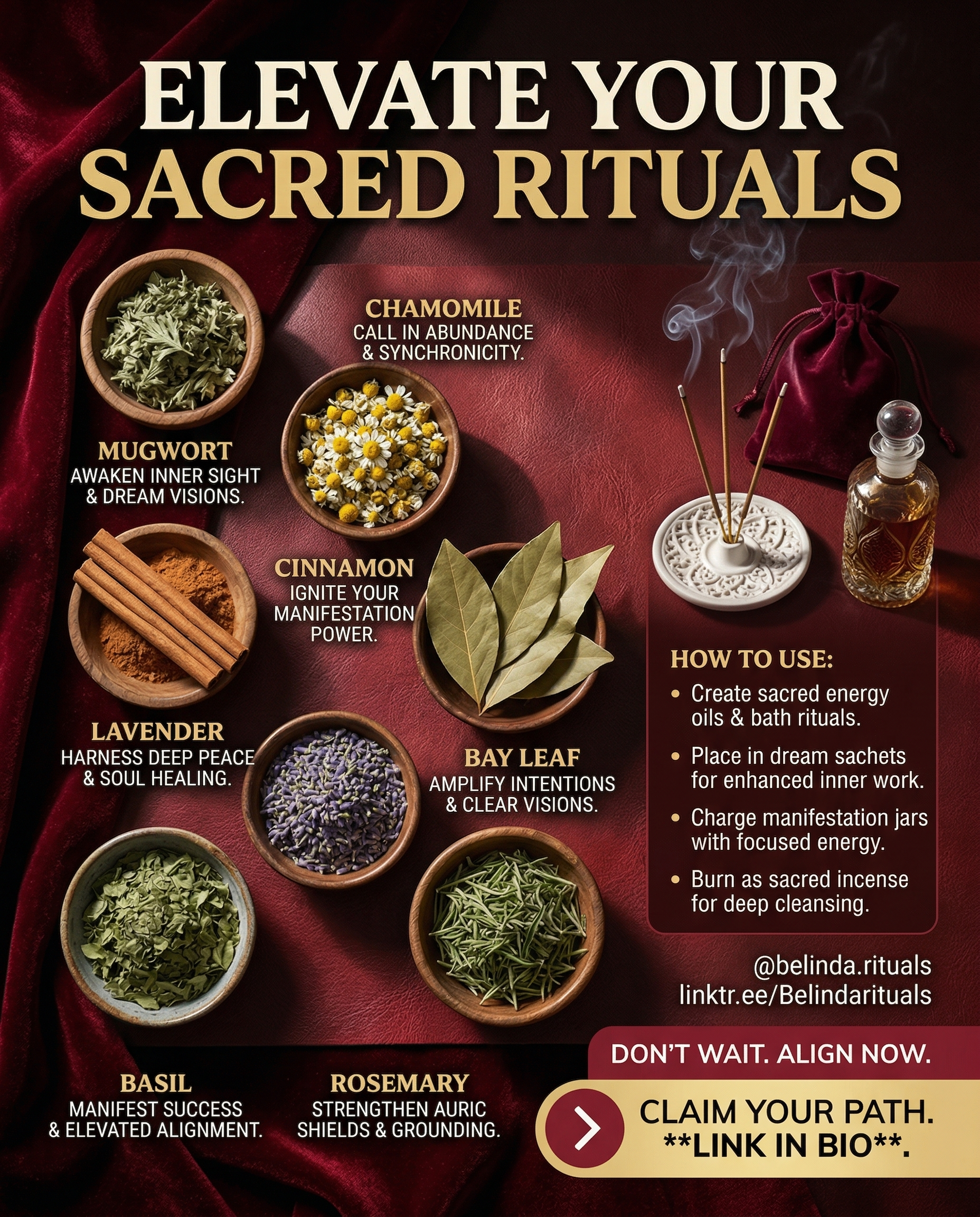 Powerful magical herbs for spell casting and witchcraft rituals