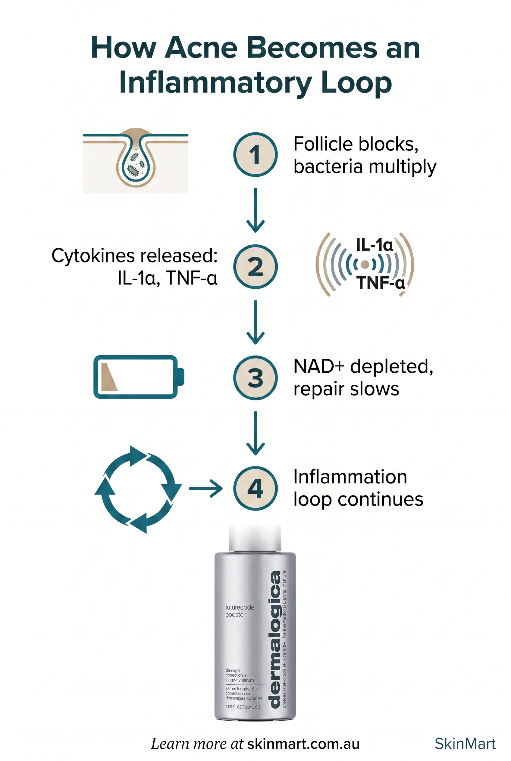 Four-step process diagram showing the acne inflammatory cascade: follicle blockage leads to cytokine release, which depletes NAD+, creating a repeating inflammation loop