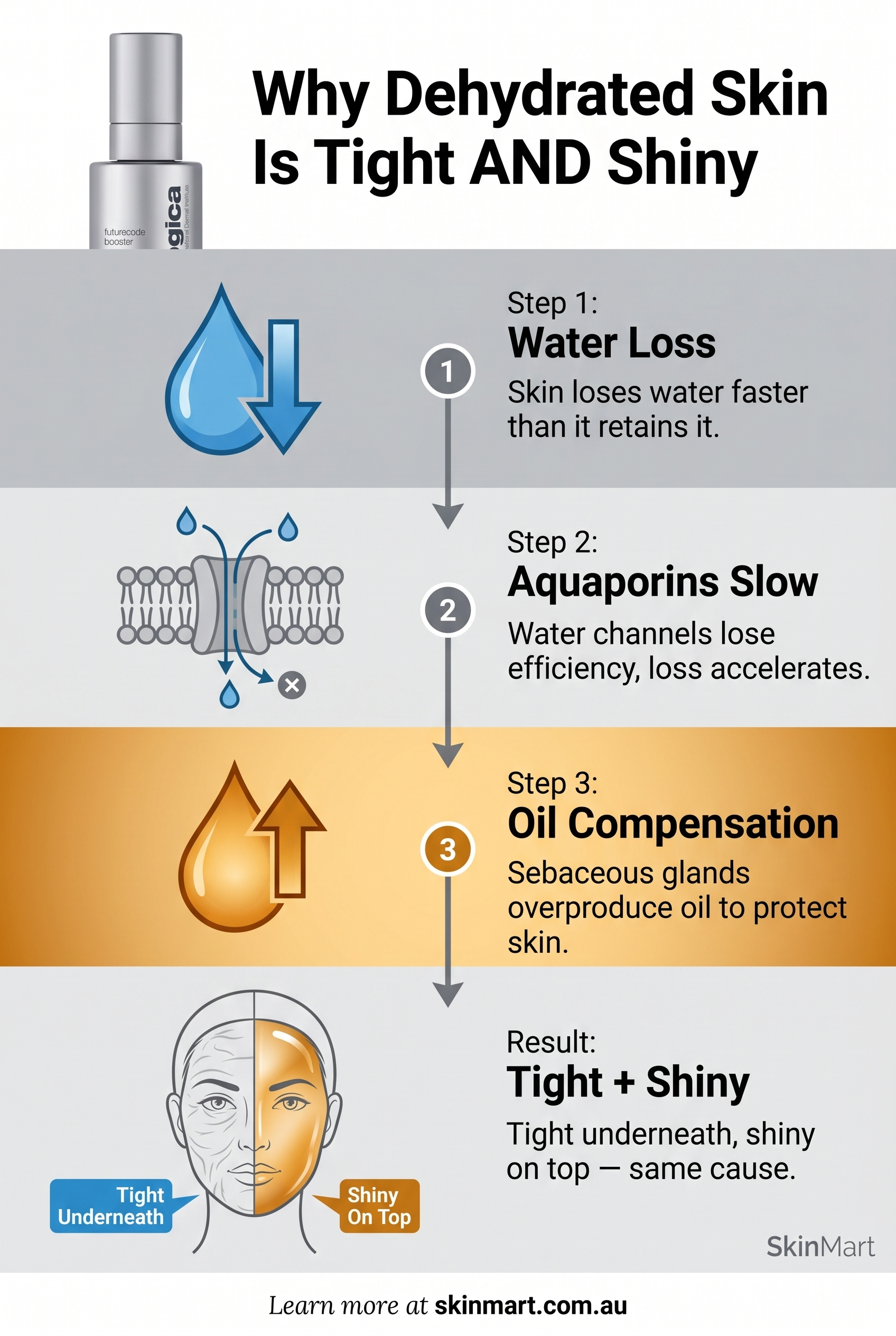 Infographic showing four-step dehydration cycle: water loss, aquaporin slowdown, oil overproduction, and the resulting tight-and-shiny skin appearance