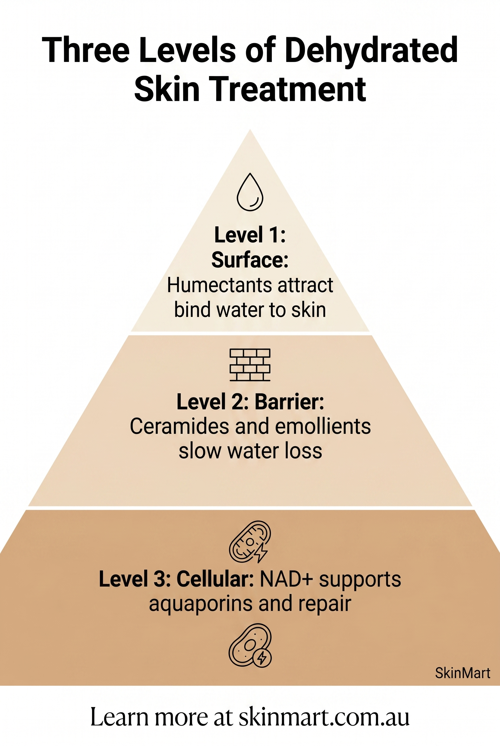 Three-layer pyramid infographic showing surface hydration at top, barrier support in middle, and cellular NAD+ support at the base as the foundation for treating dehydrated skin