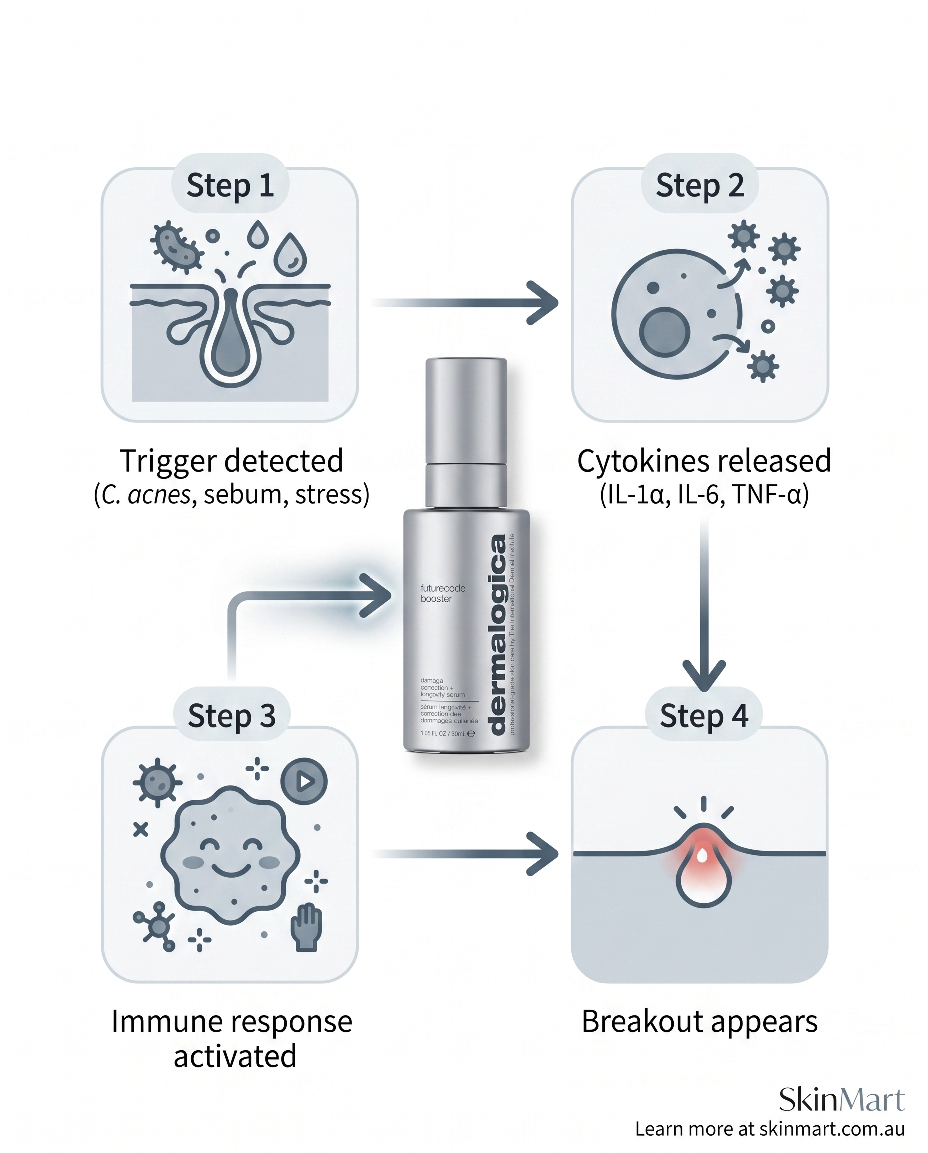 Diagram showing four steps of the acne inflammatory cascade from cellular trigger to visible breakout, with connecting arrows between each stage