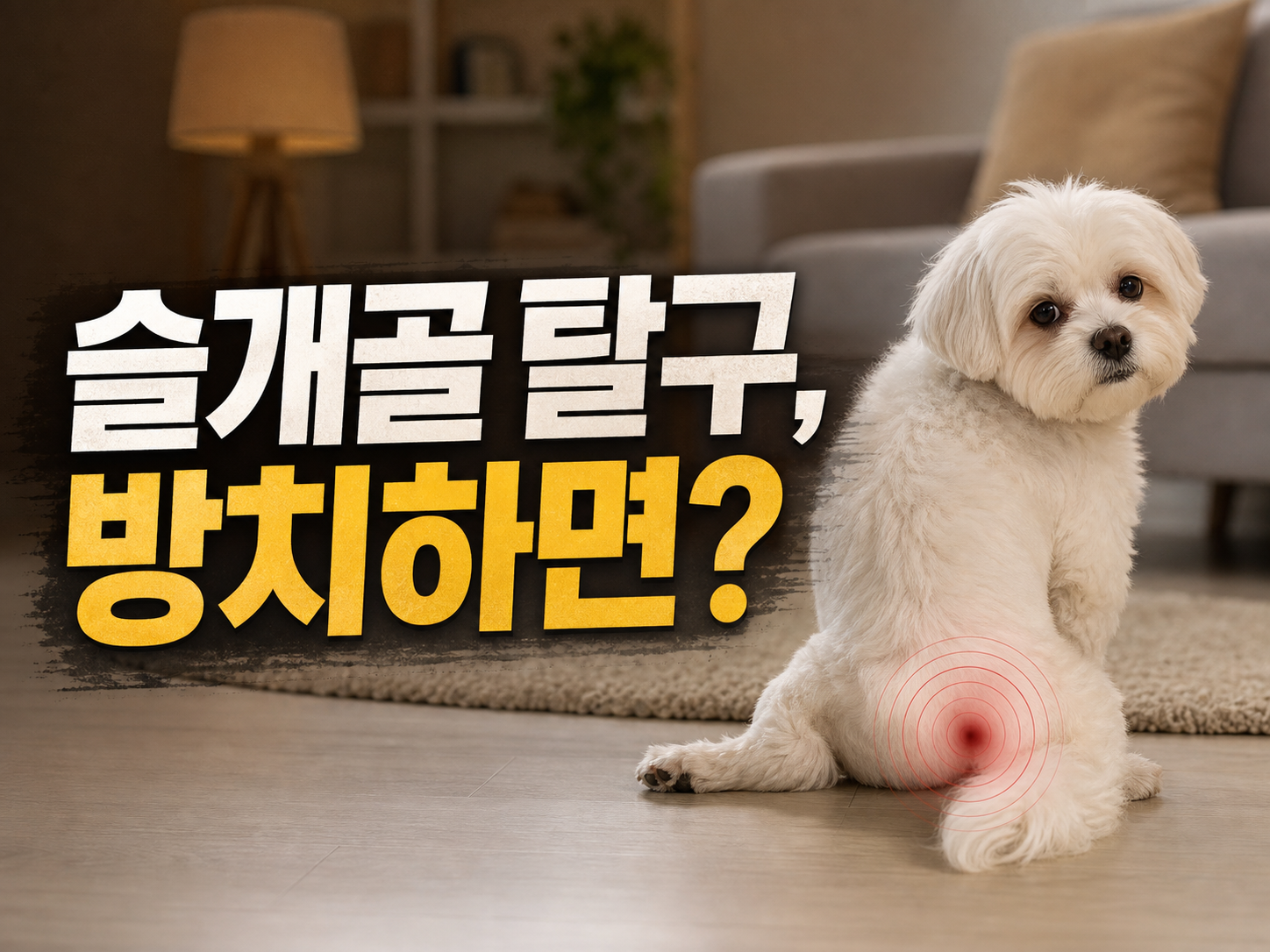 강아지 슬개골 탈구 증상부터 수술비용, 펫보험 가입 시기까지 총정리 (2026)