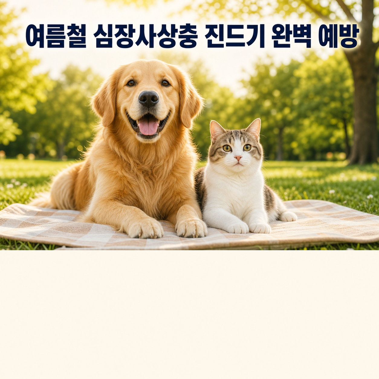 강아지 고양이 심장사상충 진드기 예방약 종류와 가격 총정리 (2026 여름 SFTS 대비)