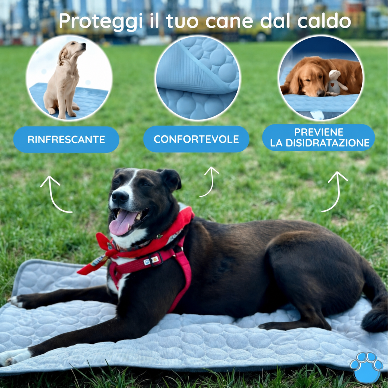 Tappetino Refrigerante Portatile per Cani - Immagine 2