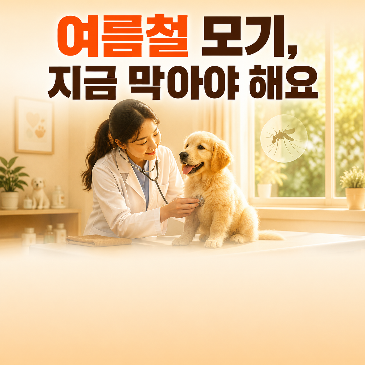 강아지 심장사상충 예방약 종류와 검사 여름철 모기 예방