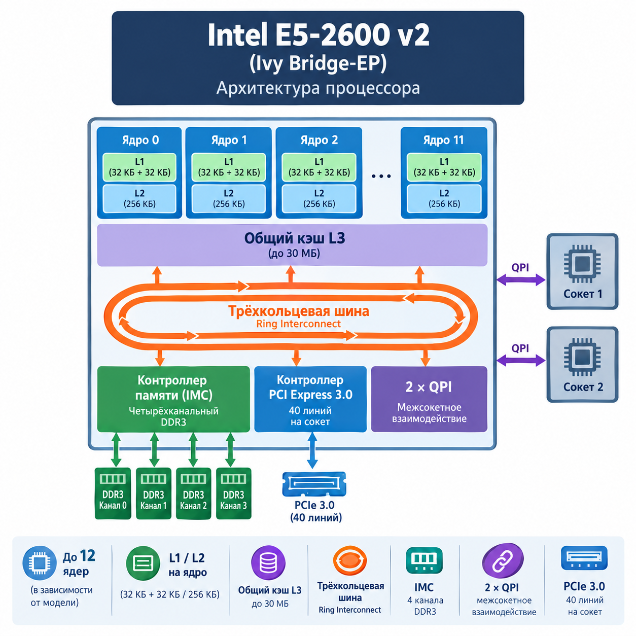 архитектура процессора Intel E5-2600 v2 (Ivy Bridge-EP) с указанием ключевых компонентов: процессорные ядра (до 12 шт.), кэш L1/L2 на ядро, общий кэш L3 (до 30 МБ), трёхкольцевая шина Ring Interconnect, интегрированный контроллер памяти (IMC) с четырёхканальным DDR3, два канала QPI для межсокетного взаимодействия, контроллер PCIe 3.0 (40 линий на сокет)