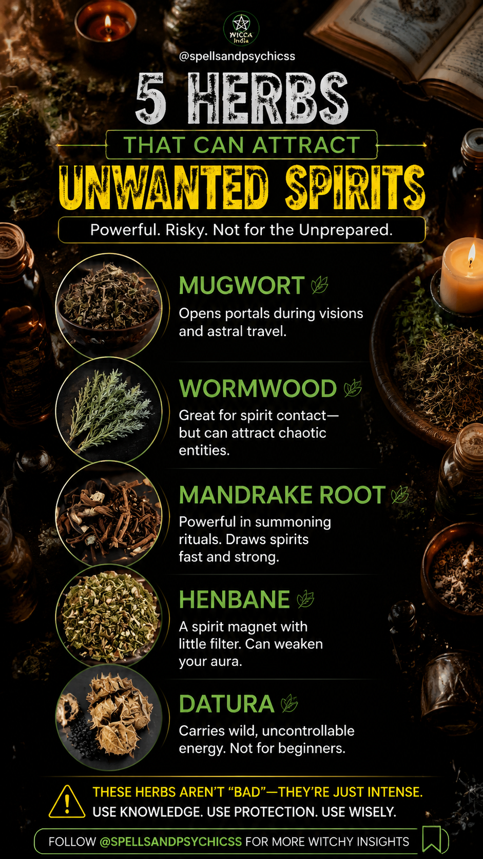 Wormwood herb for advanced spirit work with protection rituals