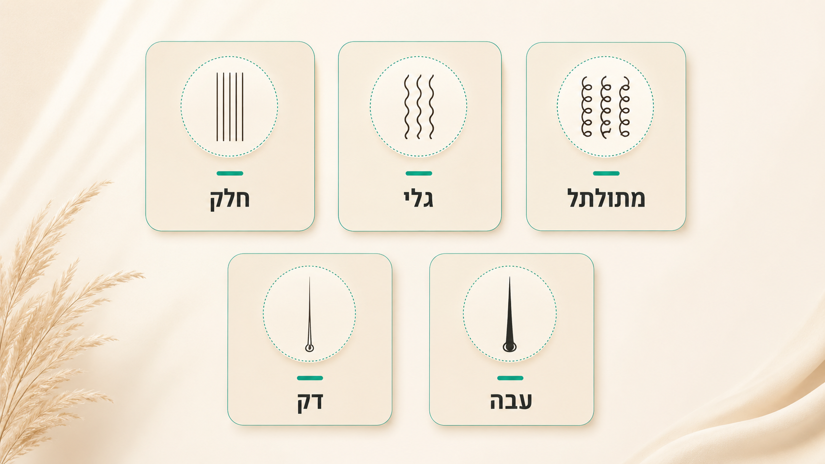 שמפו ומרכך כבסיס שגרת הטיפוח