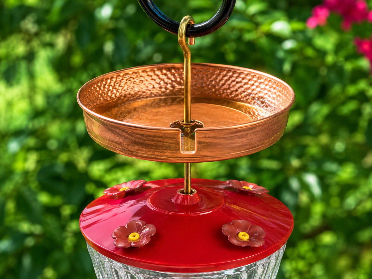 The 'Ant Moat' You're Buying Wrong: Why the Cheap Ones Drown Your Hummingbirds