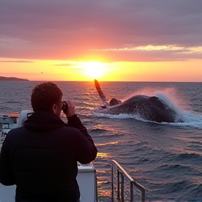 Whales on Lake Superior