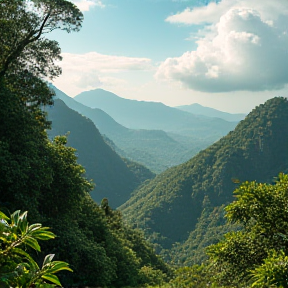 brasil