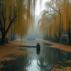 Weeping Willows 