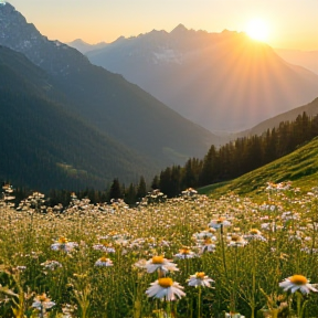 Edelweiss der Liebe