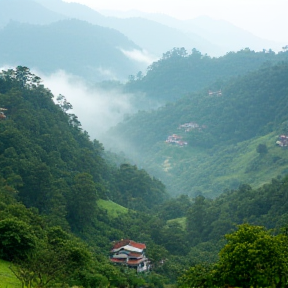 Vườn Dâu Tươi Berry Valley