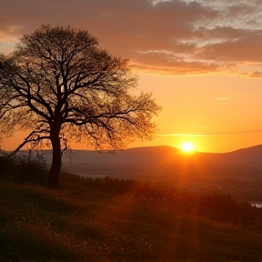 Meine Heimat Hof Bergmann