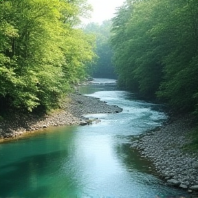 Floating on the river