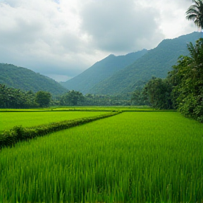 Indah Alam Hilang