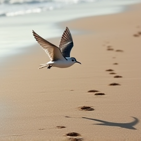 Kleine Vögel am Strand