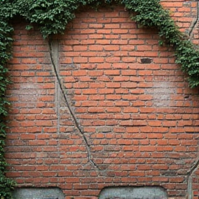 Wall