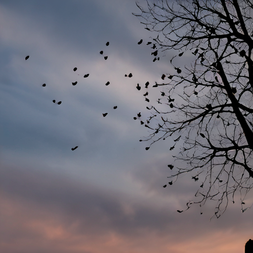 Il Cielo è Qui