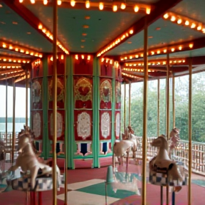 Twisted Carousel