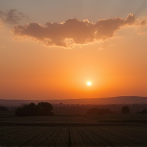 Country Sunset