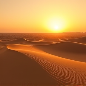 La Beauté du Sable