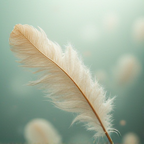 a feathers touch