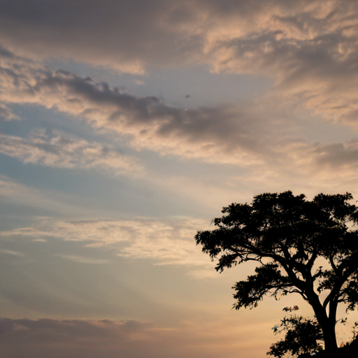 CIELO ENTRE NUBES