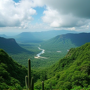 América Viva