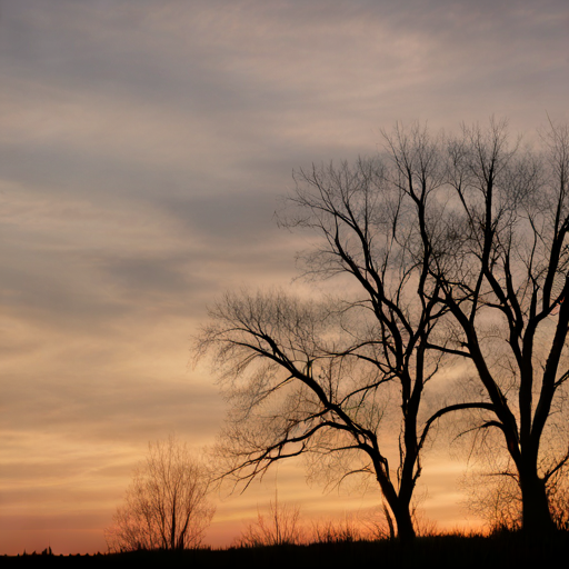 Der Sonnenaufgang