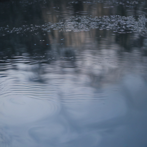 Raindrops Serenade