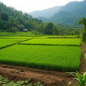 Bumi Yang Subur