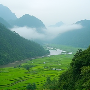 Cuộc Sống