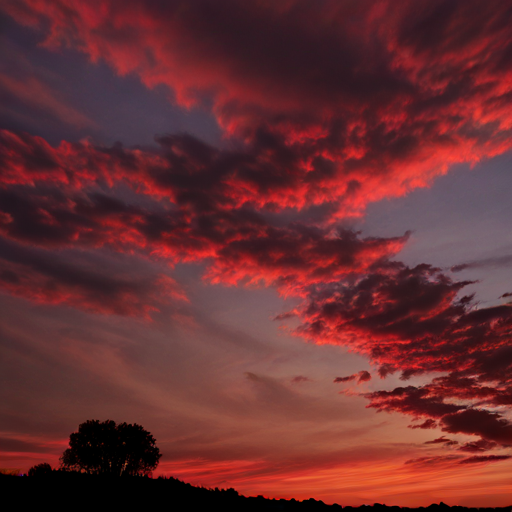 Scarlet Skies