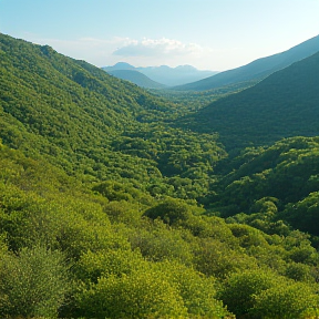 La Nature Somptueuse