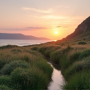 The path of a soothing breeze