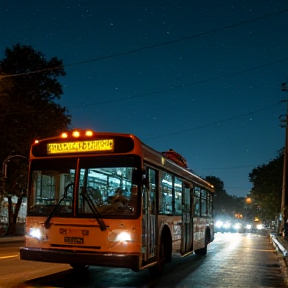 Colectivo de Medianoche