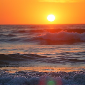 Onde o Sol Encontra o Mar