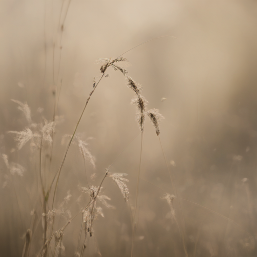 Sombras de resurgimiento